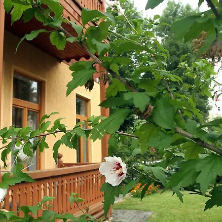 Hotel Park